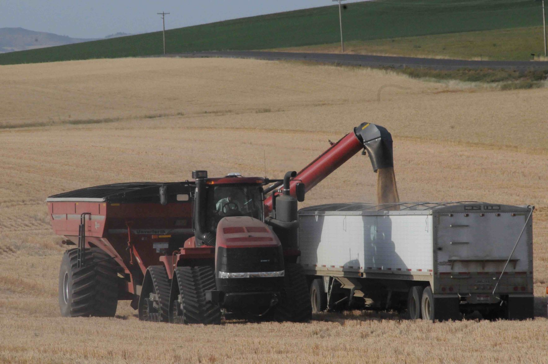 Harvest Time